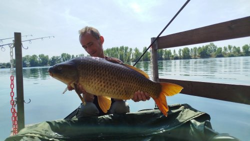 Boilies Pikantní perník