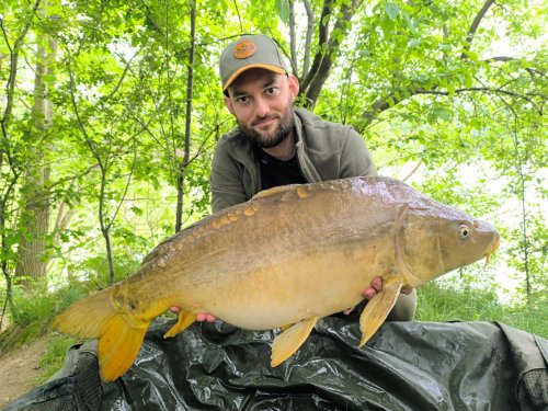 10,4kg, boilies Pikantní perník