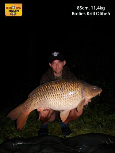 85cm, 11,4kg, boilies Krill/Oliheň, svazová voda