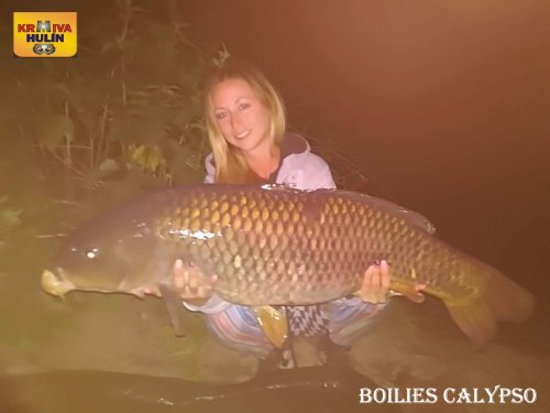 Boilies calypso
