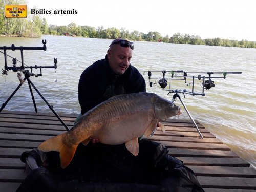 Boilies artemis
