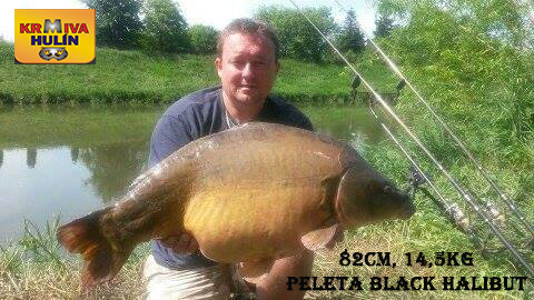 82cm, 14,5kg, peleta Black halibut krev