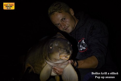 Boilies krill/oliheň, pop up ananas