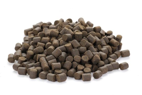 Krmivo pro velké Jesetery - PREMIUM SELECT - Coppens - Ø 14 mm (Coppens, KVJPS14-1) | Krmiva Hulín