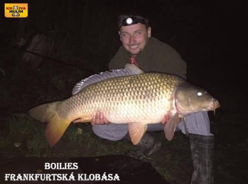 Boilies frankfurtská klobása