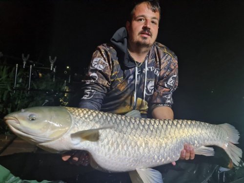 16kg, Sumčí boilies