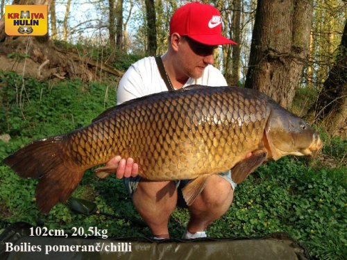 20,5kg, boilies pomeranč/chilli