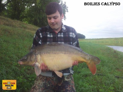 Boilies Calypso