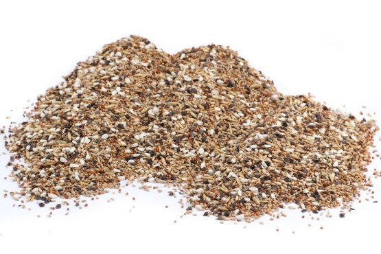 Krmivo Avest - PRO AGAPORNIS 12 (Avest, KPA-1) | Krmiva Hulín