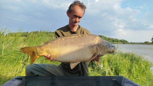 Boilies Mefisto