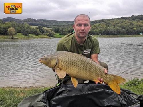 Boilies krill a oliheň, pop up krill a oliheň.