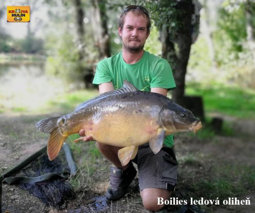 Boilies ledová oliheň