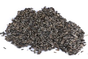 SLUNEČNICE ŽÍHANÁ VELKÁ - pro ptactvo (SLŽV-1) | Krmiva Hulín SLUNEČNICE ŽÍHANÁ VELKÁ - pro ptactvo (SLŽV-1) | Krmiva Hulín