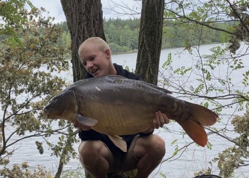 Boilies Pikantní krill