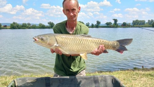 Boilies Jeseter
