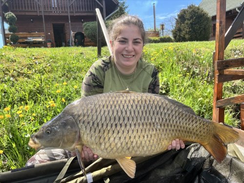 Boilies Frankfurtská klobása