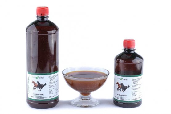 ProBio Equine - Probiotikum pro koně - Vyberte balení: 500 ml