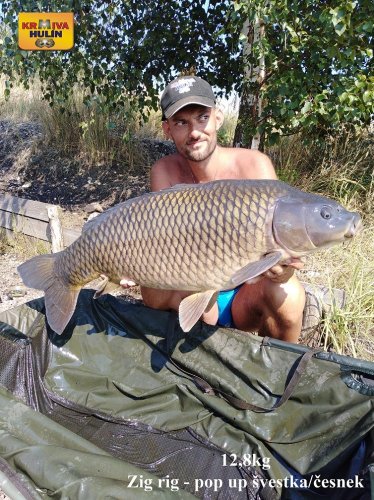 12,8kg, zig rig - pop up švestka/česnek
