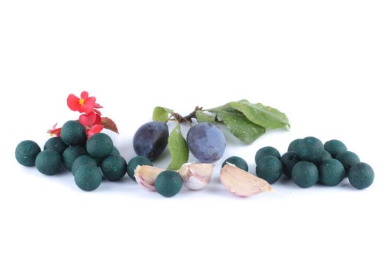 Boilies - ŠVESTKA s česnekem - Ø 20 mm - Vyberte balení: 1 kg