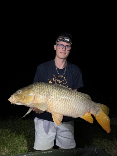 Boilies Calypso