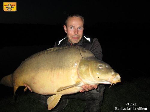 21,5kg, boilies krill a oliheň