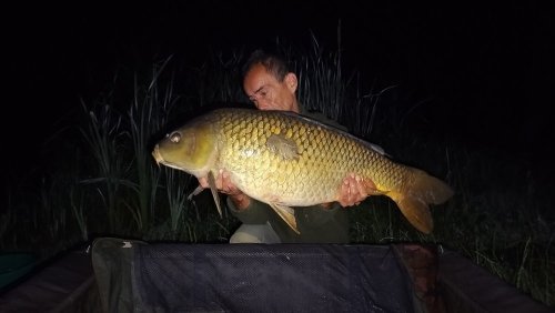 Boilies Pikantní perník
