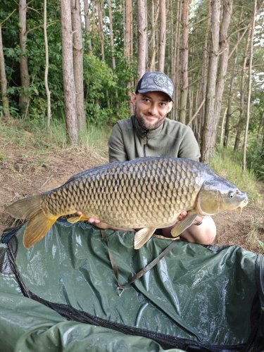 Boilies Pikantní perník