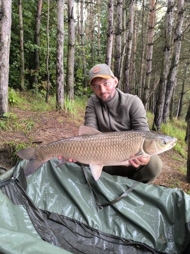 Boilies Pikantní perník Boilies Pikantní perník