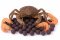 Boilies - MONSTER CRAB - Ø 24 mm (Krmiva Hulín, BOMC24-1) | Krmiva Hulín