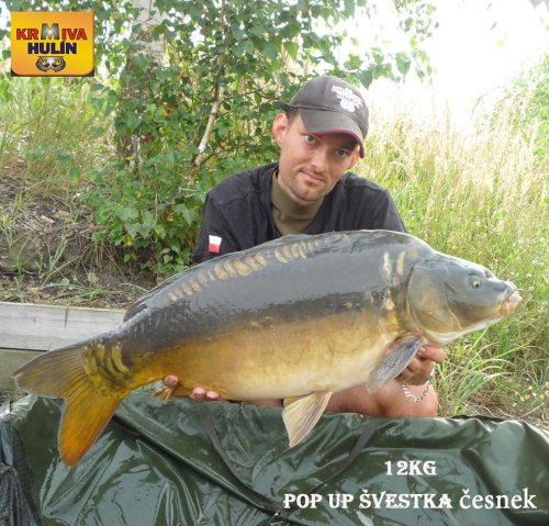 12kg, pop up Švestka/Česnek
