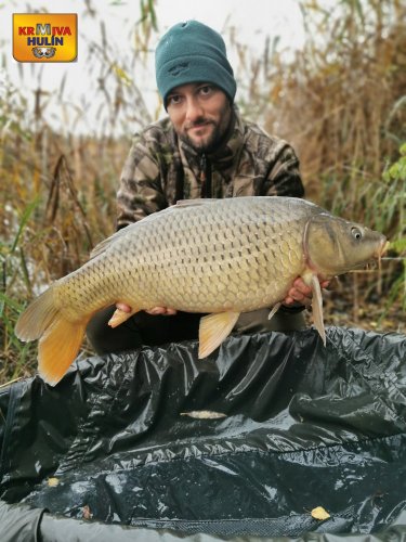Boilies pomeranč a chilli, svazová pískovna