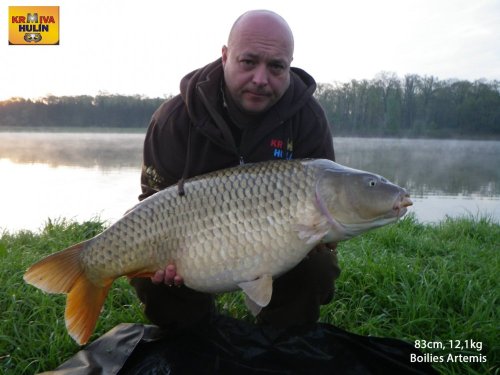83cm, 12,1kg, boilies Artemis