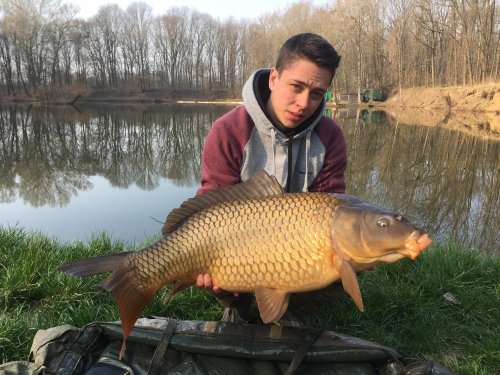 Boilies Calypso v gelu Calypso