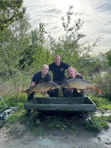 Boilies Calypso