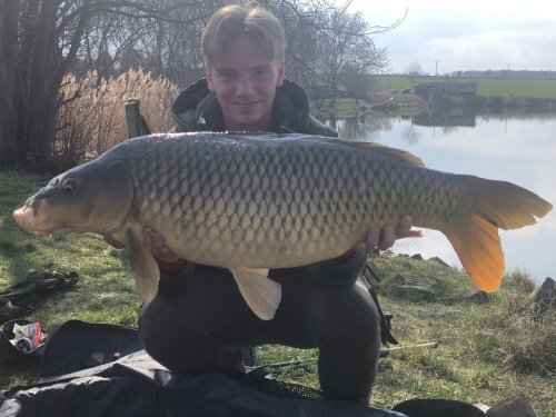 Boilies Pomeranč/Chilli vlastní výroby