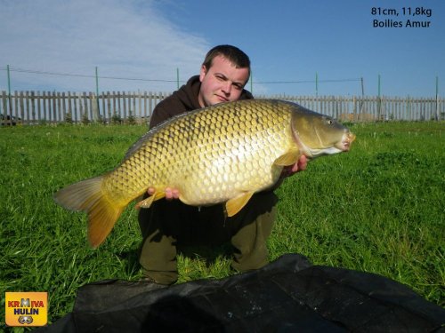 81cm, 11,8kg, boilies Amur