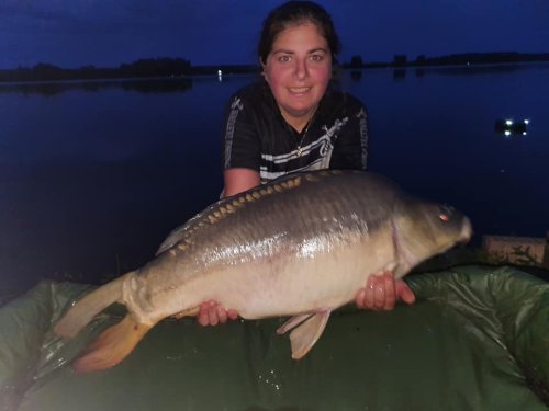 Boilies Frankfurtská klobása