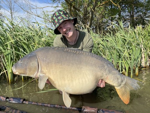 Boilies Pikantní krill, pop up Bílý pepř
