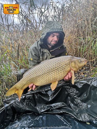 Boilies pikantní jahoda, svazová pískovna