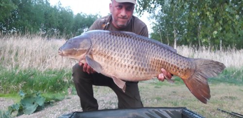 Boilies Pikantní jahoda
