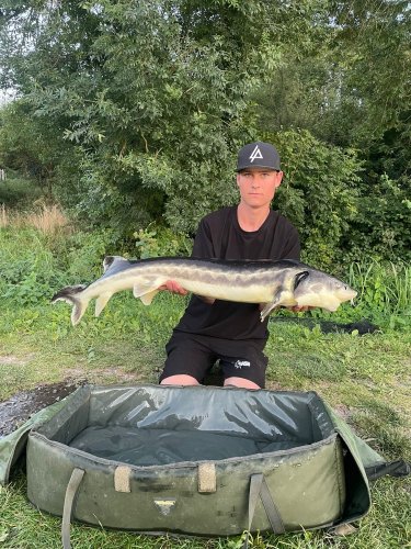 Peleta Black halibut krev + booster Calypso