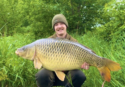 Boilies Krill a oliheň