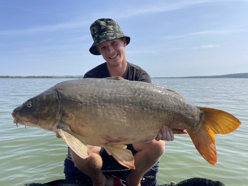 14,5kg, Boilies Pikantní perník