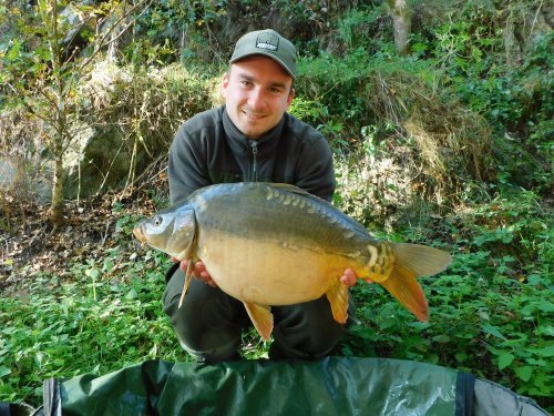Boilies Krill/Oliheň