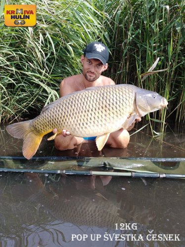12kg, zig rig - švestka/česnek