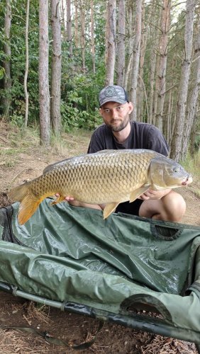 Boilies Pikantní perník