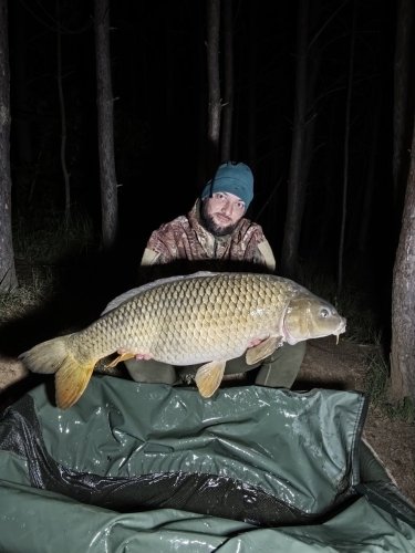 Boilies Pikantní perník