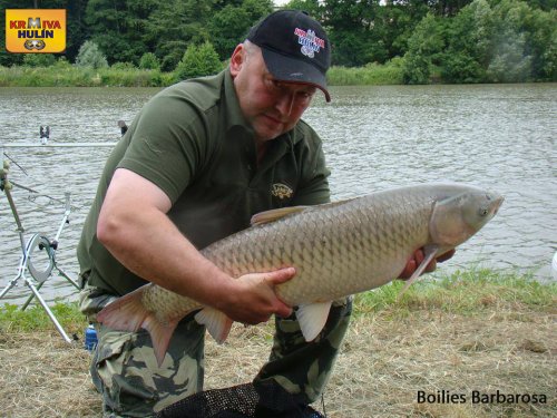 Boilies Barbarosa