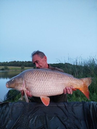 Boilies Pikantní perník