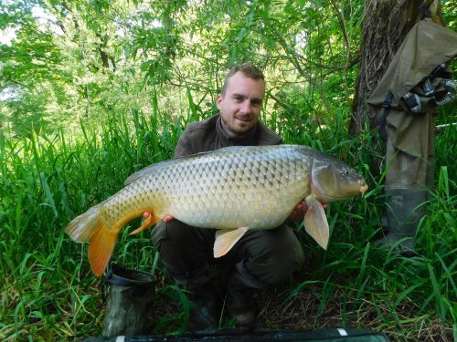 Boilies Pikantní jahoda, pop up Pikantní jahoda